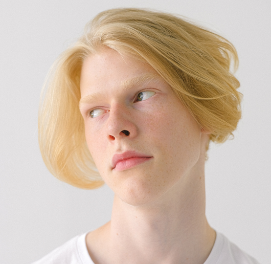 Auto generated site modeling school